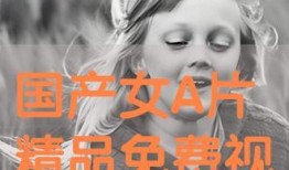 在线播放国产精品三级,揭秘影视界的隐秘角落