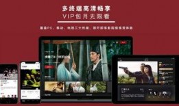 国产看片网站,探索本土看片网站的精彩世界