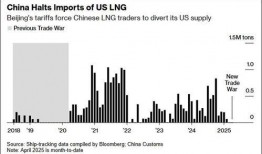 99热99这里精品6国产,六国文化盛宴