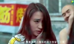 电影伦理片国产,伦理片中的家国情怀与道德探索