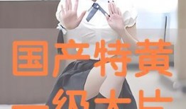 国产在线黄,揭秘国内色情内容产业的现状与挑战