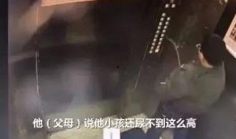 国产尿尿,创新科技引领健康生活新篇章