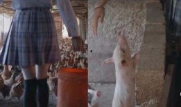 制服丝袜国产视频,国产制服丝袜视频的视觉盛宴