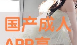 在线成人国产,探索中国在线成人产业的崛起与未来